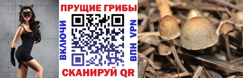 Псилоцибиновые грибы Magic Shrooms  Перевоз 